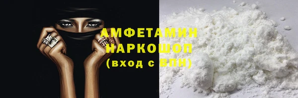 прущие грибы Алзамай