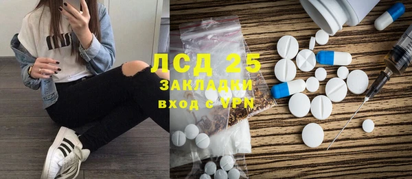 прущие грибы Алзамай