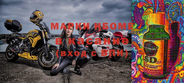 прущие грибы Алзамай