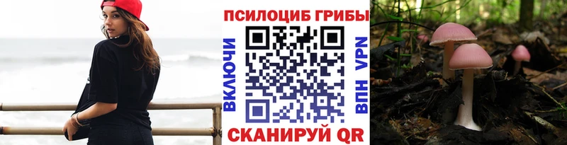 Псилоцибиновые грибы GOLDEN TEACHER Тара